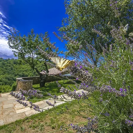 Villa Haus Natura *